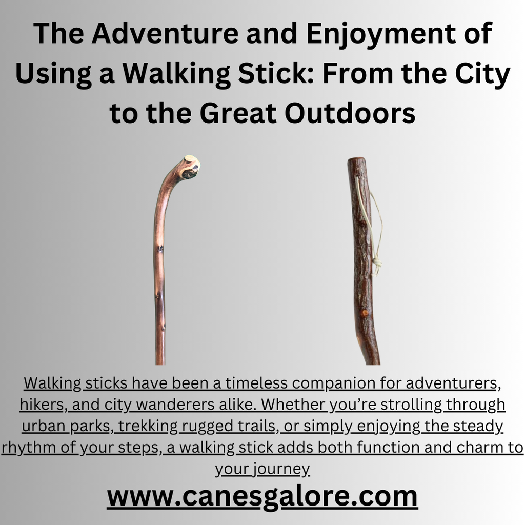 The Adventure and Enjoyment of Using a Walking Stick: From the City to the Great Outdoors