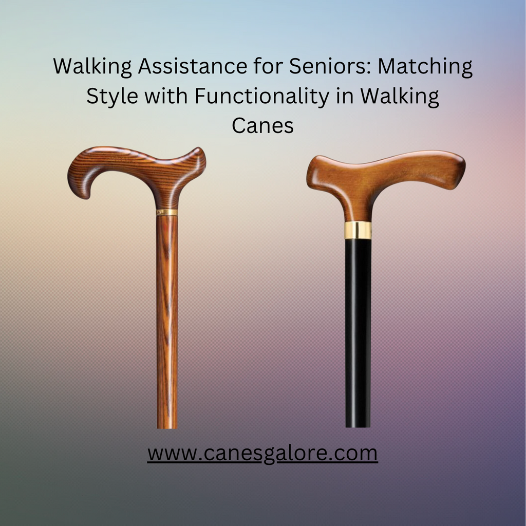 Walking Assistance for Seniors: Matching Style with Functionality in Walking Canes